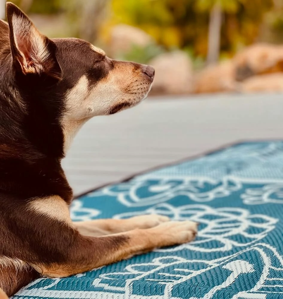 Poppy Mat 2.4X4M 12 Poppy Mat 2.4X4M - Image 12