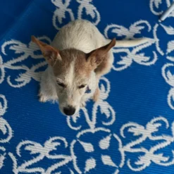 Santorini Mat 1.8X2.7M -Outdoor Equipment Sales Shop AXEVzNz4sJtzvZNOjCo AVpug