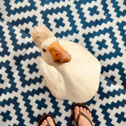 Diamond Mat 3X6M -Outdoor Equipment Sales Shop LBYap3jfkhQt76kPEnjyR6bW8