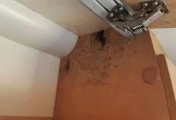 Microguard 12month Pack Caravan & Rv Antimicrobial Disinfectant Mist Applicator, PLUS FREE 60ml Non-alcoholic Hand Sanitiser And Shipping. -Outdoor Equipment Sales Shop QB0oJx7R7FBbvJ9nBSgH 3FXs