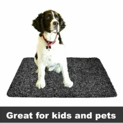 Super Absorbent Doormat Clean Step Mat Microfibre Non-Slip Absorbs Mud Water Pet -Outdoor Equipment Sales Shop t6XO7gopIsgbROkLUIh6vPybI
