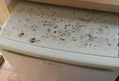 Microguard 12month Pack Caravan & Rv Antimicrobial Disinfectant Mist Applicator, PLUS FREE 60ml Non-alcoholic Hand Sanitiser And Shipping. -Outdoor Equipment Sales Shop vJ6a5I5 WQg4kZs hruH3dG3U