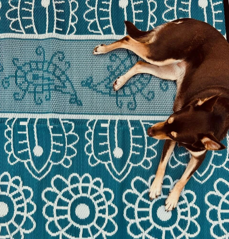 Poppy Mat 2.4X4M 11 Poppy Mat 2.4X4M - Image 11